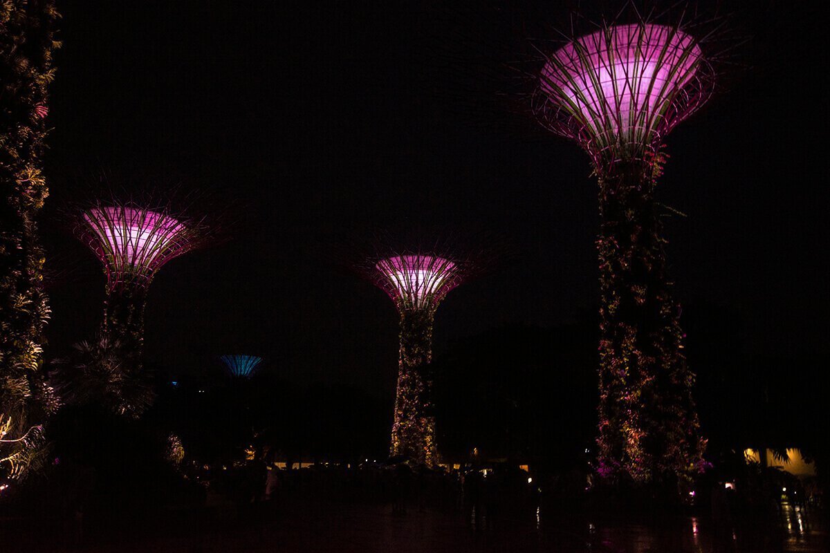 supertree lightshow gardens by the bay singapore