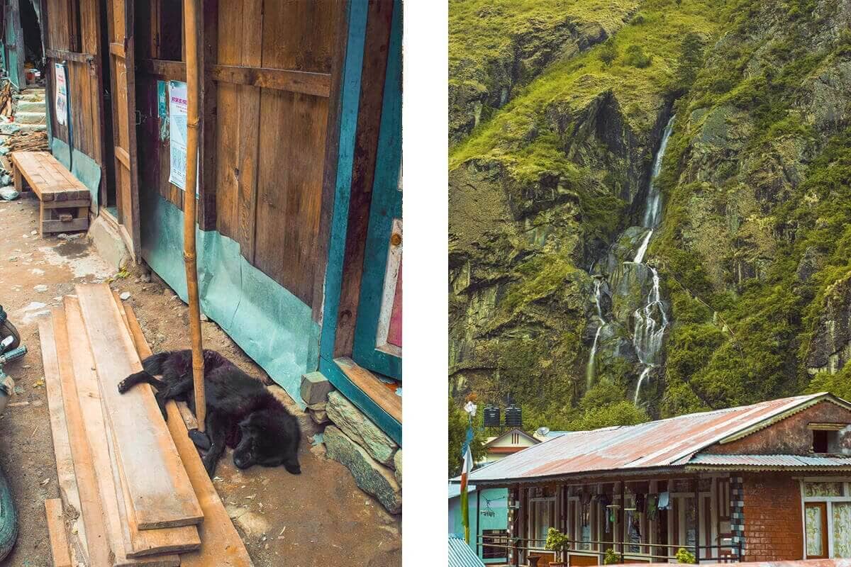 town life in tal