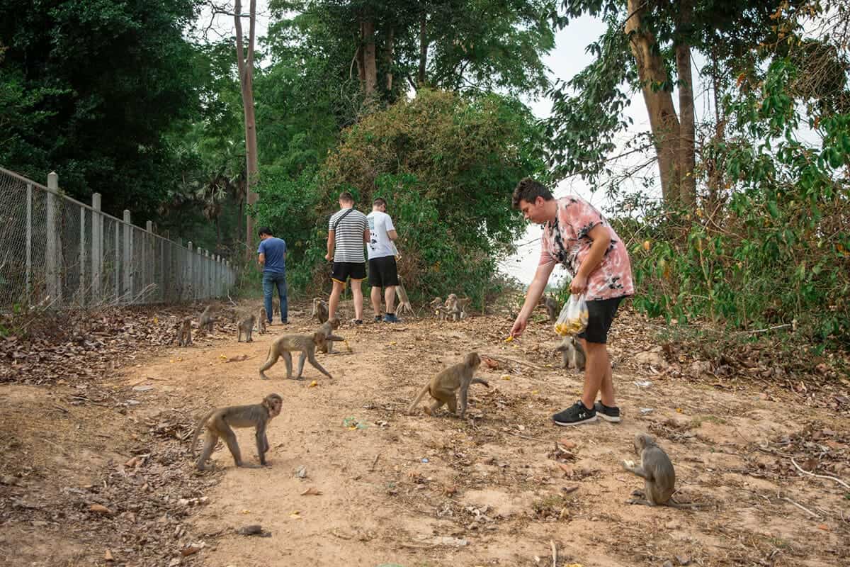 Scams In Laos: READ BEFORE YOU VISIT 5 feeding monkey off the side of the road in laos