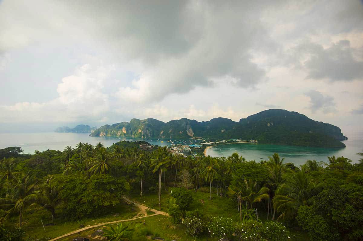 the hiking trail leading up to koh phi phi viewpoint 2