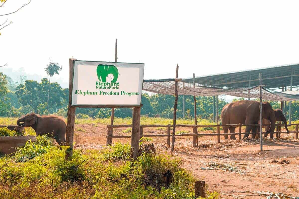 elephant freedom project sign with elephants around it