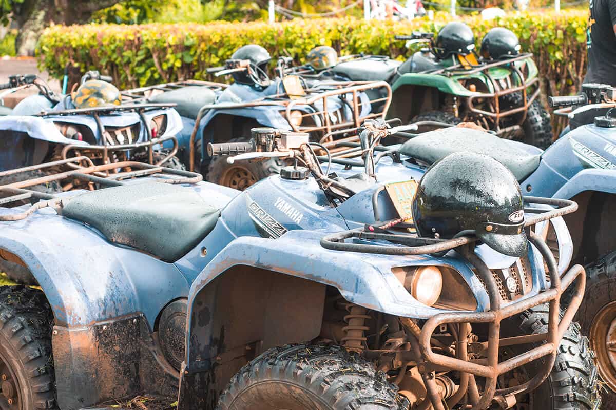 Quad Biking Inland Rarotonga With Raro Quad Tours 24 quad bikes lined up in rarotonga