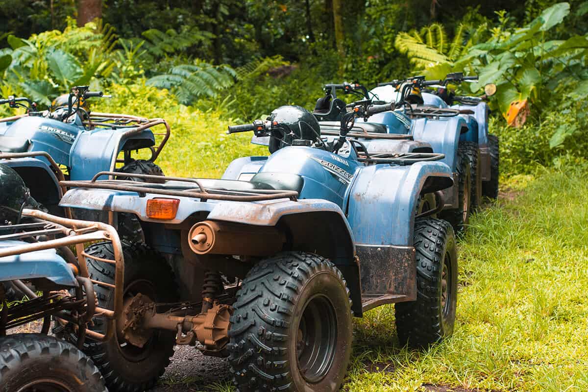 dirty quad bikes lined up in the jungle