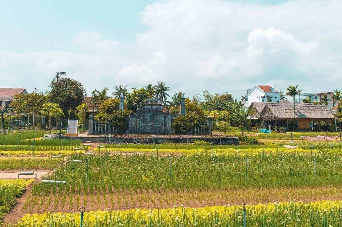 temple in the middle of tra que vegetable village in hoi an