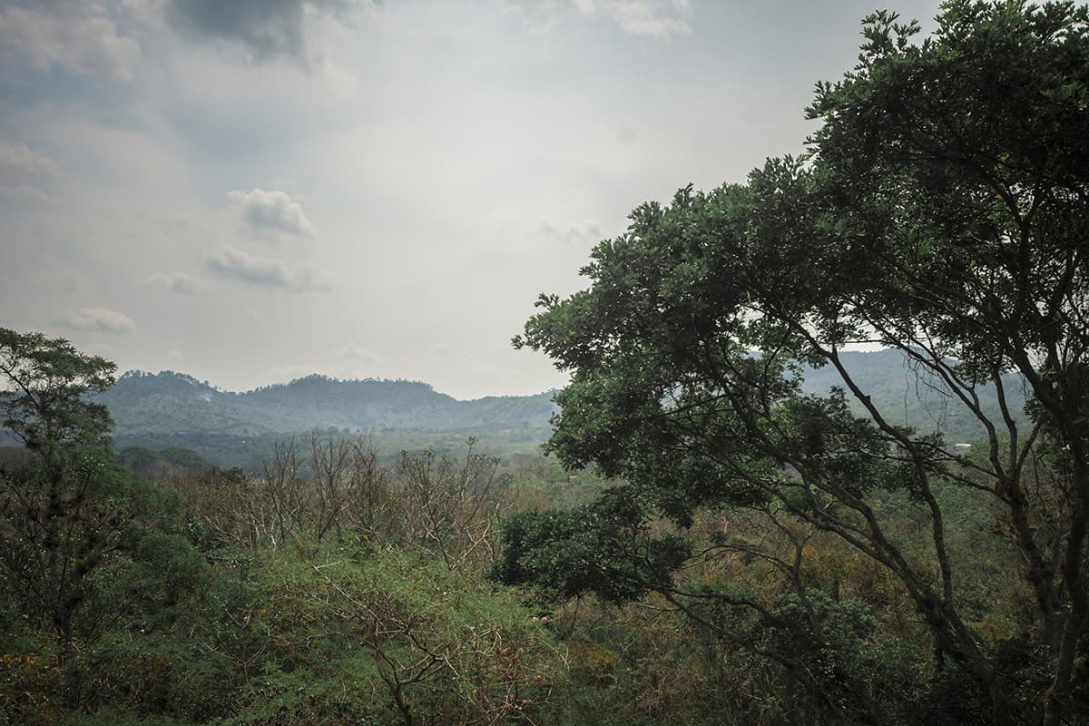looking off into the jungle and hills from copan ruinas