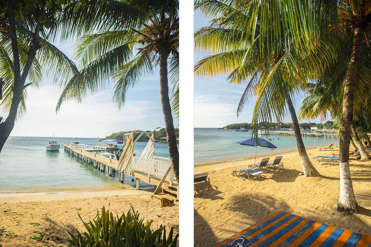 gorgeous golden sand and palm trees at half moon bay in roatan