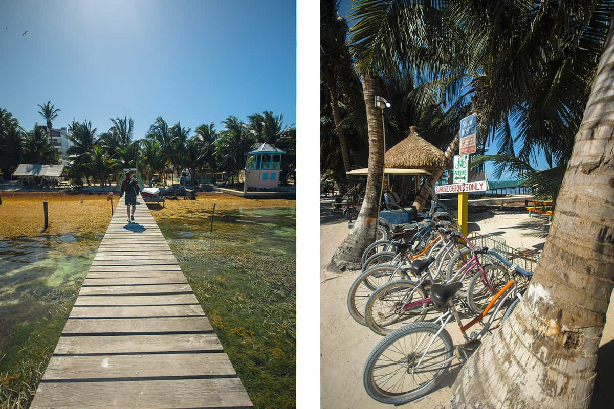 Hostels In Caye Caulker: BEST Stays For Backpackers 19 walking down one of the piers in caye caulker // bicycles lined up along the street, one of the best ways to get around