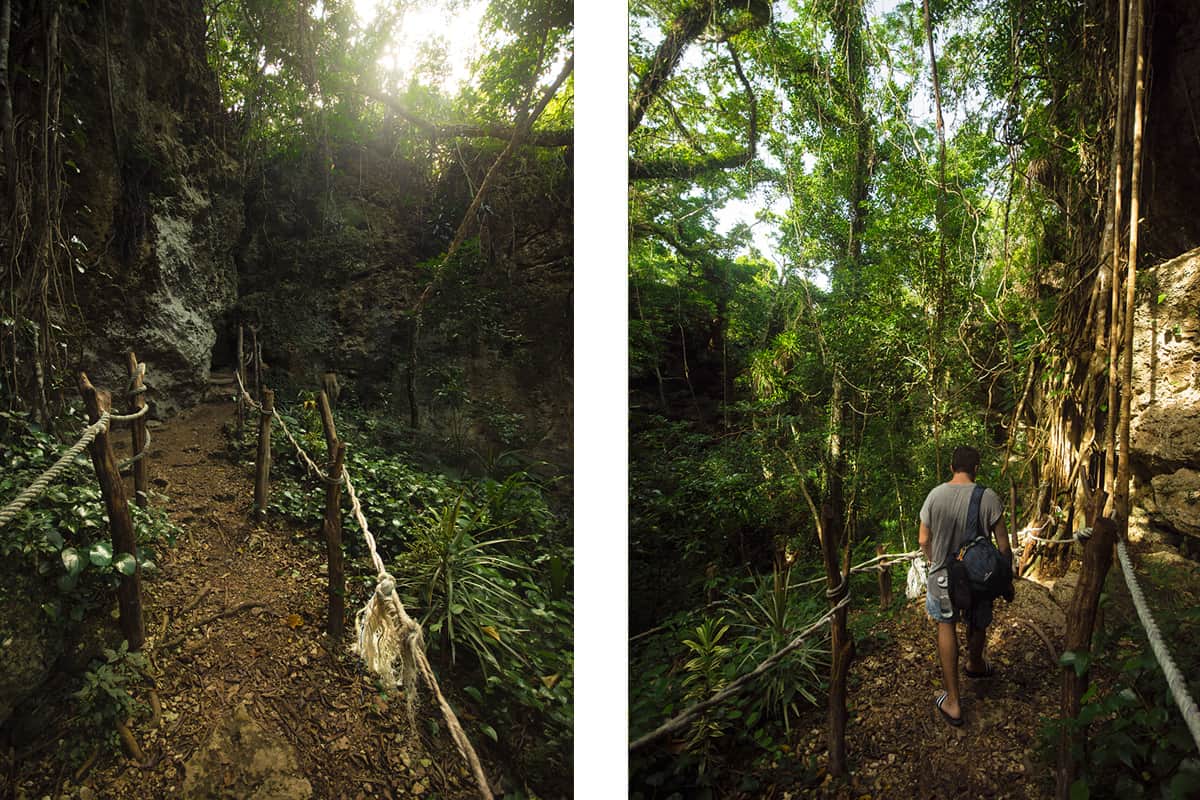 the hiking path lined with rope to mark the way