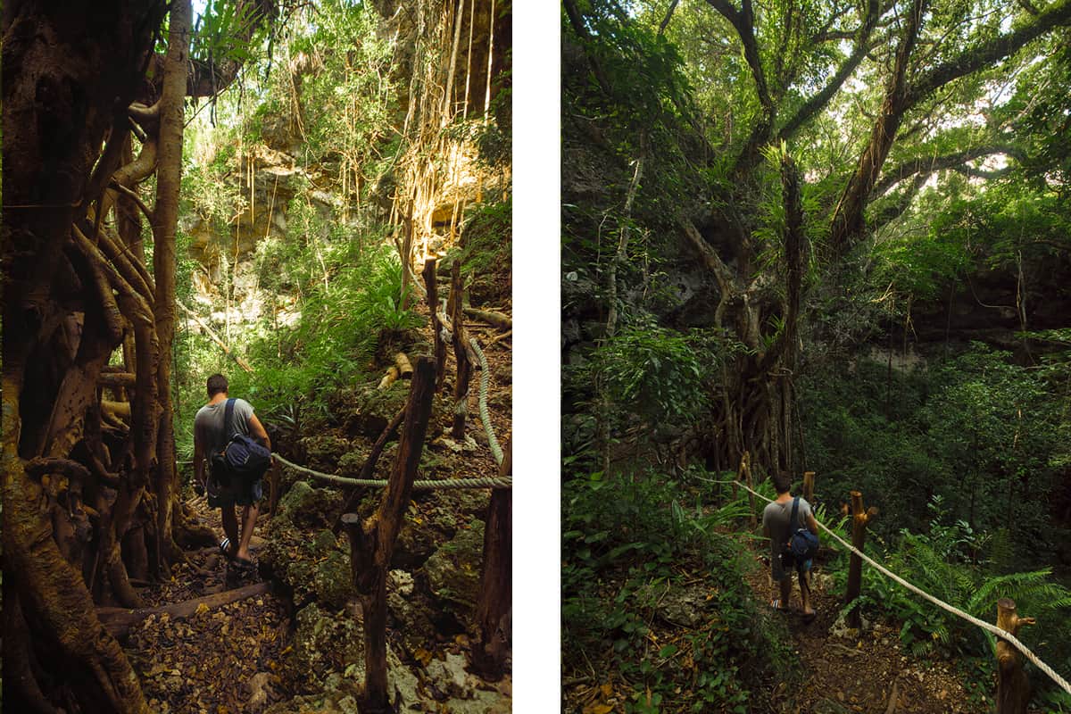 deep in the jungle while hiking to the secret grotto in lifou