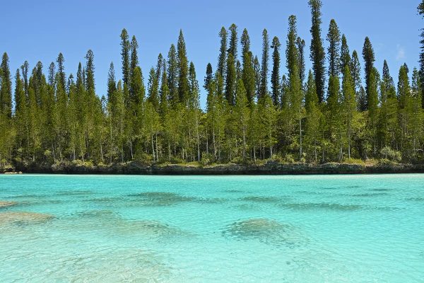 the crystal clear waters of the isle of pines natural pool