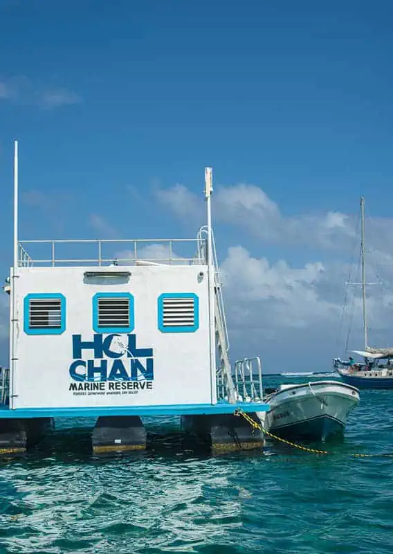 Caye Caulker Snorkeling Tours: Discover The Ultimate Underwater Paradise 61 the ticket booth for hol chan marine reserve floating in the open water