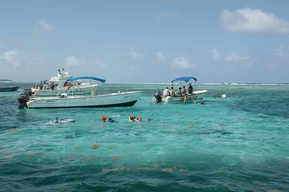 Caye Caulker Snorkeling Tours BEST Tours & Tips 2024
