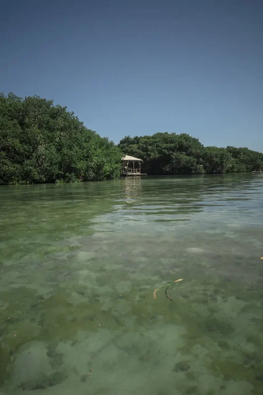 Caye Caulker Snorkeling Tours: Discover The Ultimate Underwater Paradise 62 touring the other side of caye caulker among the mangroves