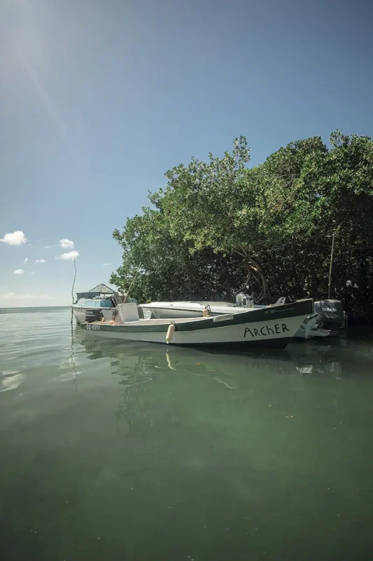 Caye Caulker Snorkeling Tours: Discover The Ultimate Underwater Paradise 65 a local boat in caye caulker called archer