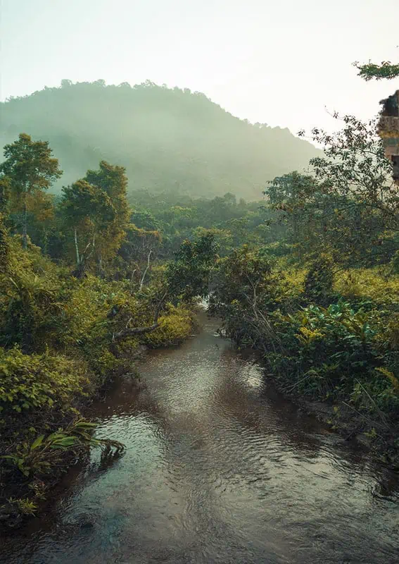 My Son Sanctuary Hoi An: BEST Tips & Tours (2026) 60 looking upriver at one of the stream which one through my son sanctuary