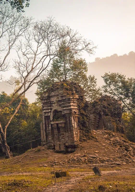 My Son Sanctuary Hoi An: BEST Tips & Tours (2026) 54 a tree growing out the top of one of the temples at my son sanctuary