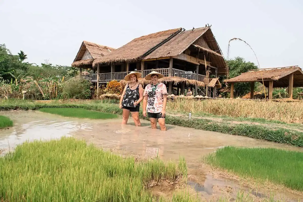 rice farming experience, an option for your luang prabang itinerary
