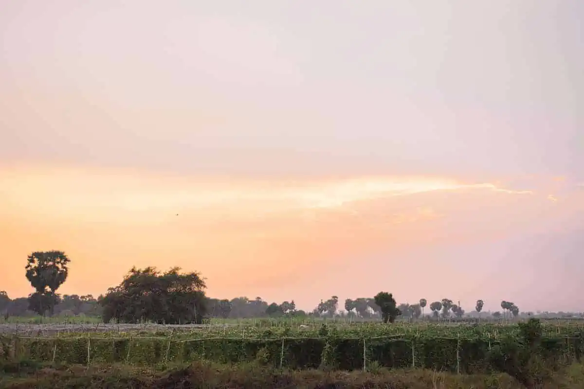 Battambang Bamboo Train: Is It Still Worth Visiting? 2026 59 A view over the nearby Cambodian farmland at sunset while in Battambang.
