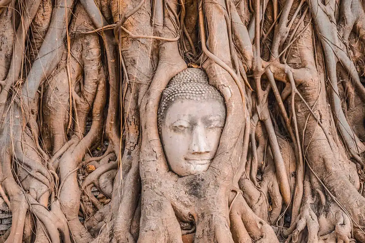Ayutthaya Day Trip From Bangkok: BEST Guide (2026) 62 the buddha head entwined in roots at wat mahathat