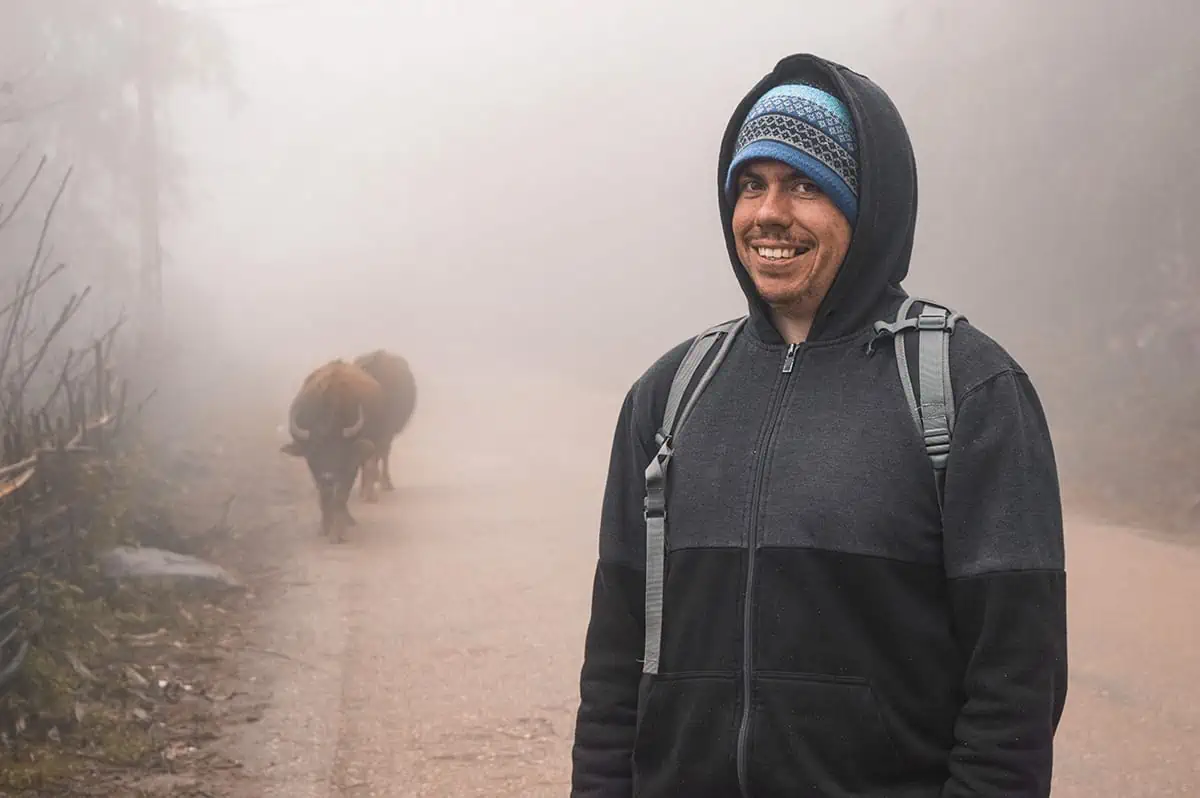 Man in warm clothing on a foggy path in Sapa, with a water buffalo coming from behind him.