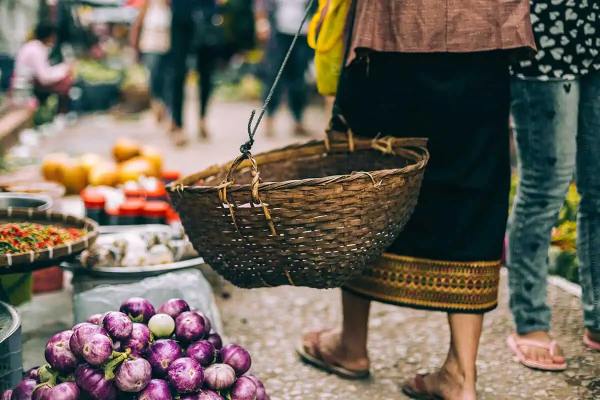 shopping at the luang prabang morning market