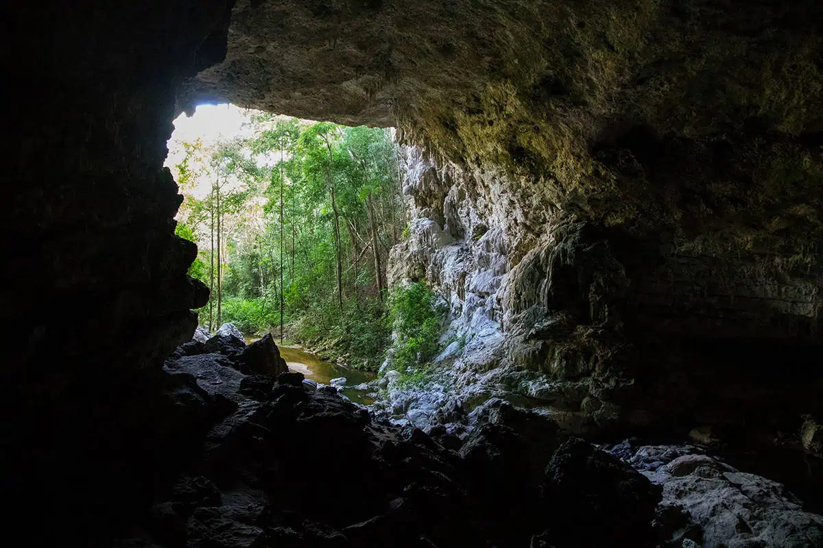 look out of one of the caves at mountain pine ridge forest reserve in belize