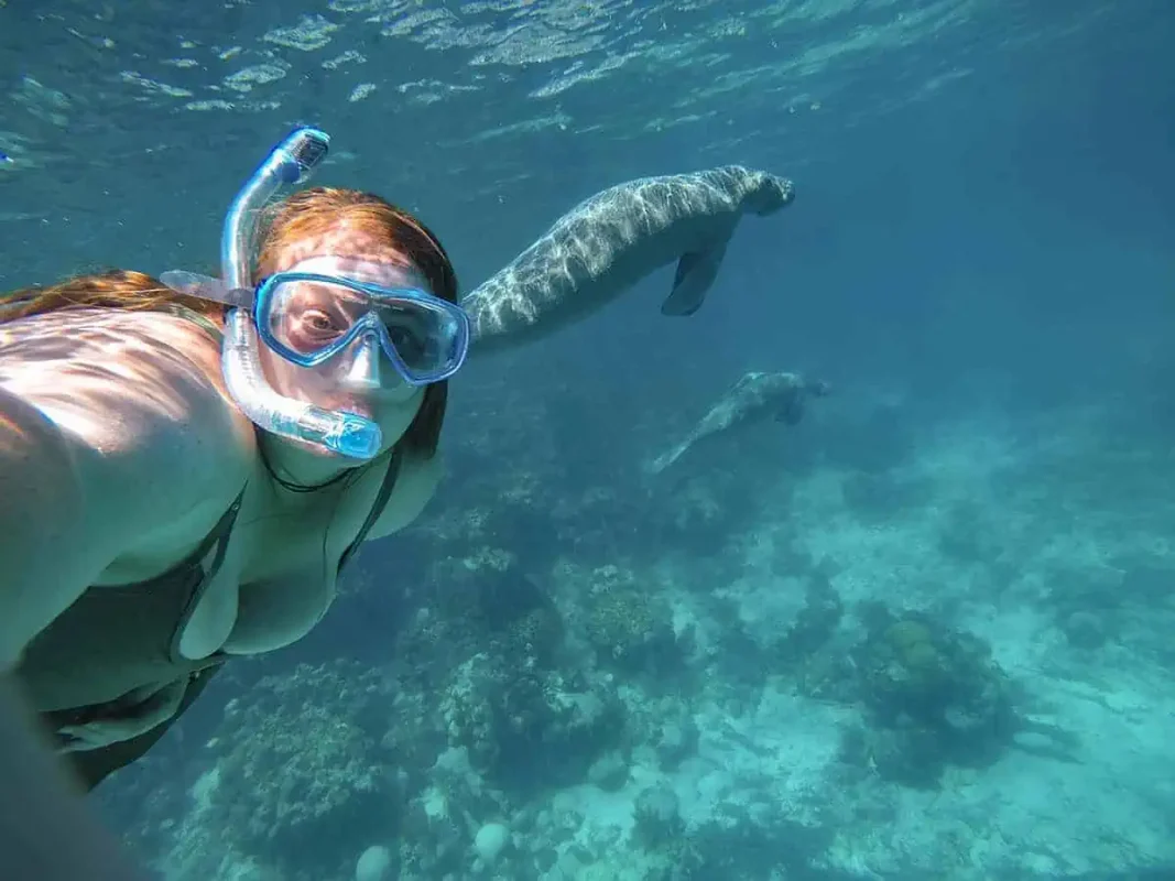 swimming with manatees, a bucketlist activity in belize