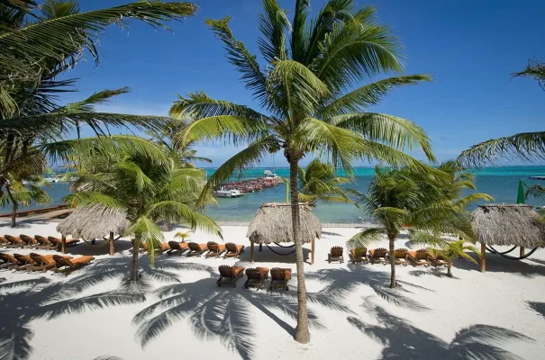 Choosing between Ambergris Caye vs Caye Caulker? This image shows the serene beachside relaxation offered by Ambergris Caye, with palm trees and beach loungers.