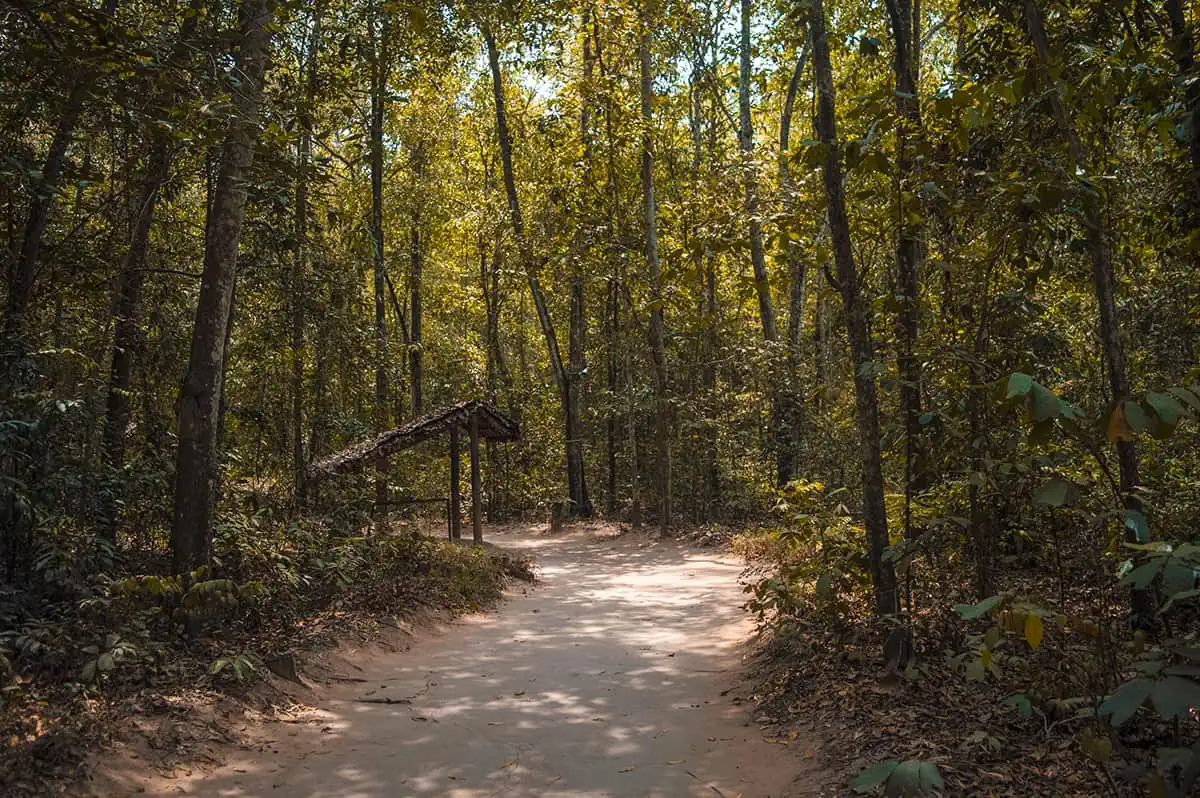 Best Cu Chi Tunnels Tours: Cheap VS Expensive 2026 12 A dirt path through the lush forest on our Cu Chi tunnels tour, leading to a thatched hut, hinting at the historical context of the area.