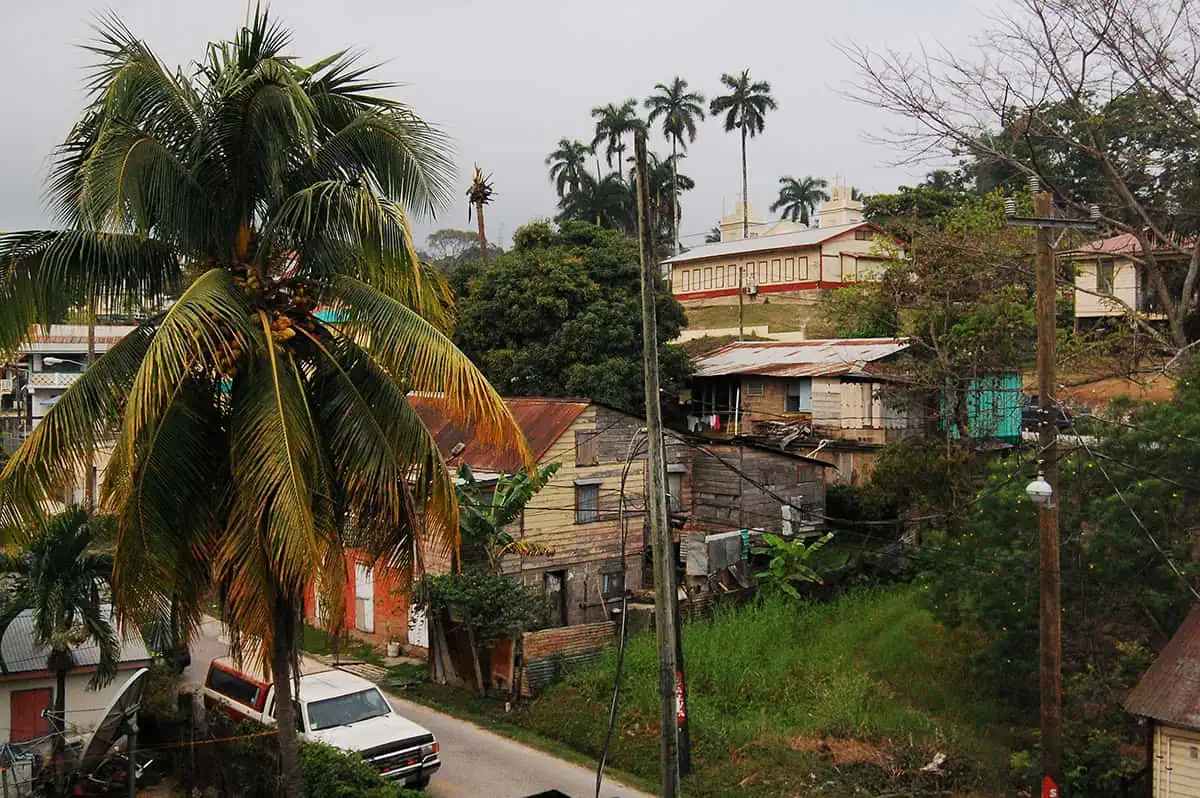 Belize Airport To San Ignacio: BEST Ways To Travel 56 Rustic street view in San Ignacio with a palm tree in the foreground and a mix of traditional houses
