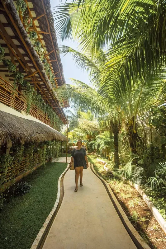 Mexico Belize Guatemala Itinerary: BEST Backpacking Route 61 tasha amy walks down a curved pathway in a lush resort on Isla Holbox. The path is lined with tropical plants, small trees, and a structure with walls adorned with hanging plants. The area is shaded by tall palm trees, offering a cool, green escape.