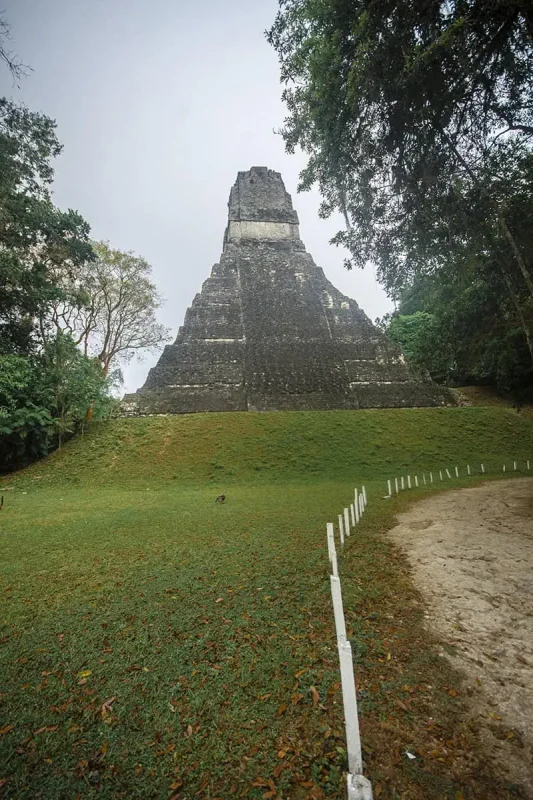San Ignacio To Tikal & BEST Tikal Tours From San Ignacio 55 The grand Temple I at Tikal against a grey sky, seen by travelers who venture from San Ignacio for a historical excursion.
