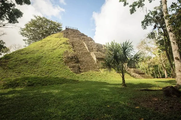 hillside of the Mayan ruins seen on a day trip from San Ignacio to Tikal, showcasing the rich vegetation and ancient stone steps partially covered in moss.