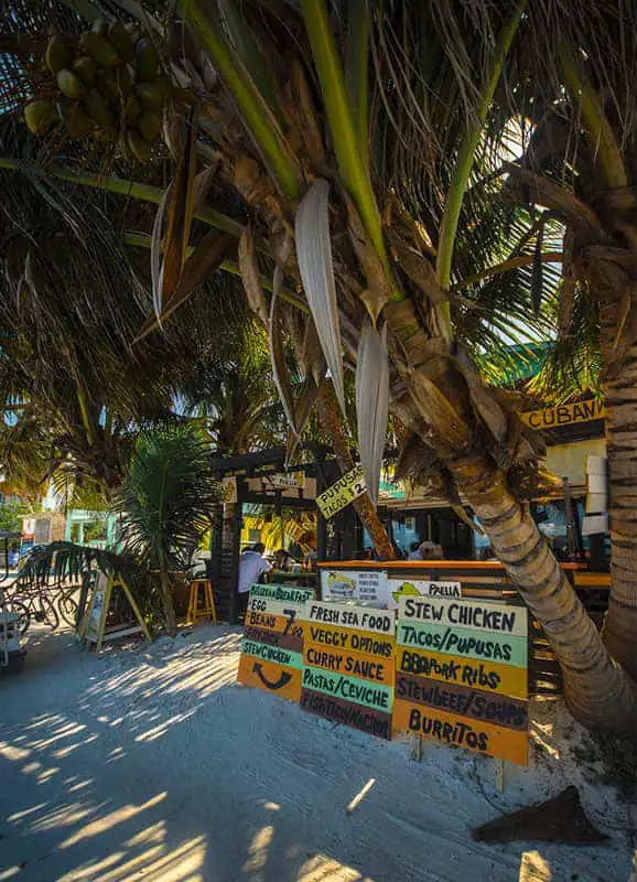 Belize In April: What You NEED To Know 58 In this lively scene, a series of hand-painted wooden signs hang from a palm tree at a beachside bar in Belize. The signs, offering a variety of local and international foods like 'stew chicken', 'burritos', and 'fresh seafood', create a vibrant, inviting atmosphere under the shade of lush greenery.