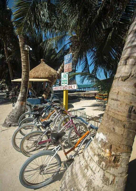 The 31 BEST Things To Do In Caye Caulker: Ultimate List! 54 Several bicycles are parked on a sandy path under the shade of palm trees in Caye Caulker. A sign indicates "Booze and Guest Only" parking, with a thatched-roof hut and a glimpse of the beach in the background. Renting a bike is one of the best things to do in Caye Caulker for easy island exploration.