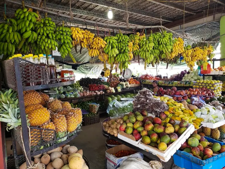 Best Things To Do In San Ignacio: Caves, Ruins & Day Trips 60 A bustling market stall in San Ignacio displaying an array of fresh fruits and vegetables, including bananas, pineapples, mangoes, and more. The vibrant colors and variety of produce highlight the local agricultural bounty and market culture.