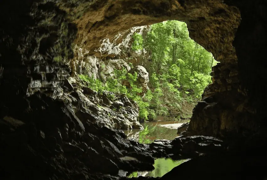 Best Things To Do In San Ignacio: Caves, Ruins & Day Trips 75 View from inside rio frio cave looking out towards a verdant forest and a tranquil river. The cave's rocky entrance frames the lush landscape, highlighting the natural beauty and adventurous things to do in San Ignacio.