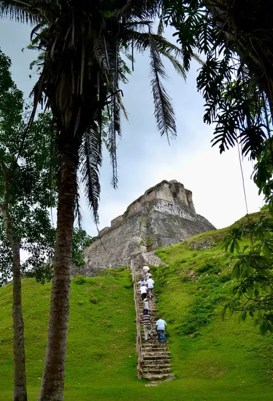 Best Things To Do In San Ignacio: Caves, Ruins & Day Trips 64 A group of tourists climbing the steep stone steps of the Xunantunich Mayan ruin. The pyramid is framed by tall palm trees, and intricate carvings are visible on the ancient structure, highlighting the historical and cultural attractions in the area.