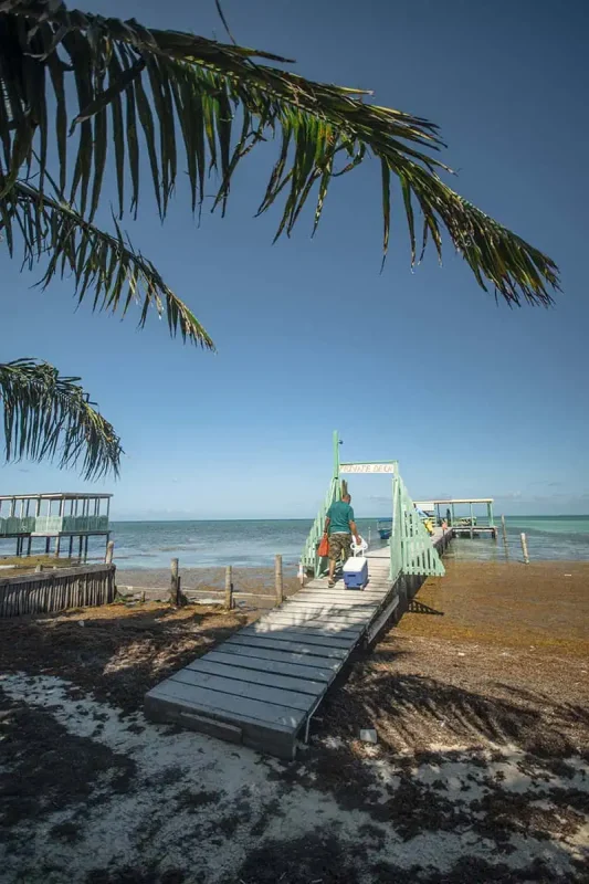 Cancun To Caye Caulker: The 4 Easiest Ways To Travel 54 A man walking down a wooden dock labeled 'Private Dock,' carrying a cooler towards the turquoise waters of Caye Caulker. Palm fronds frame the shot, and another dock is visible in the distance. Travelers from Cancun to Caye Caulker can enjoy private oceanfront spots like this one.