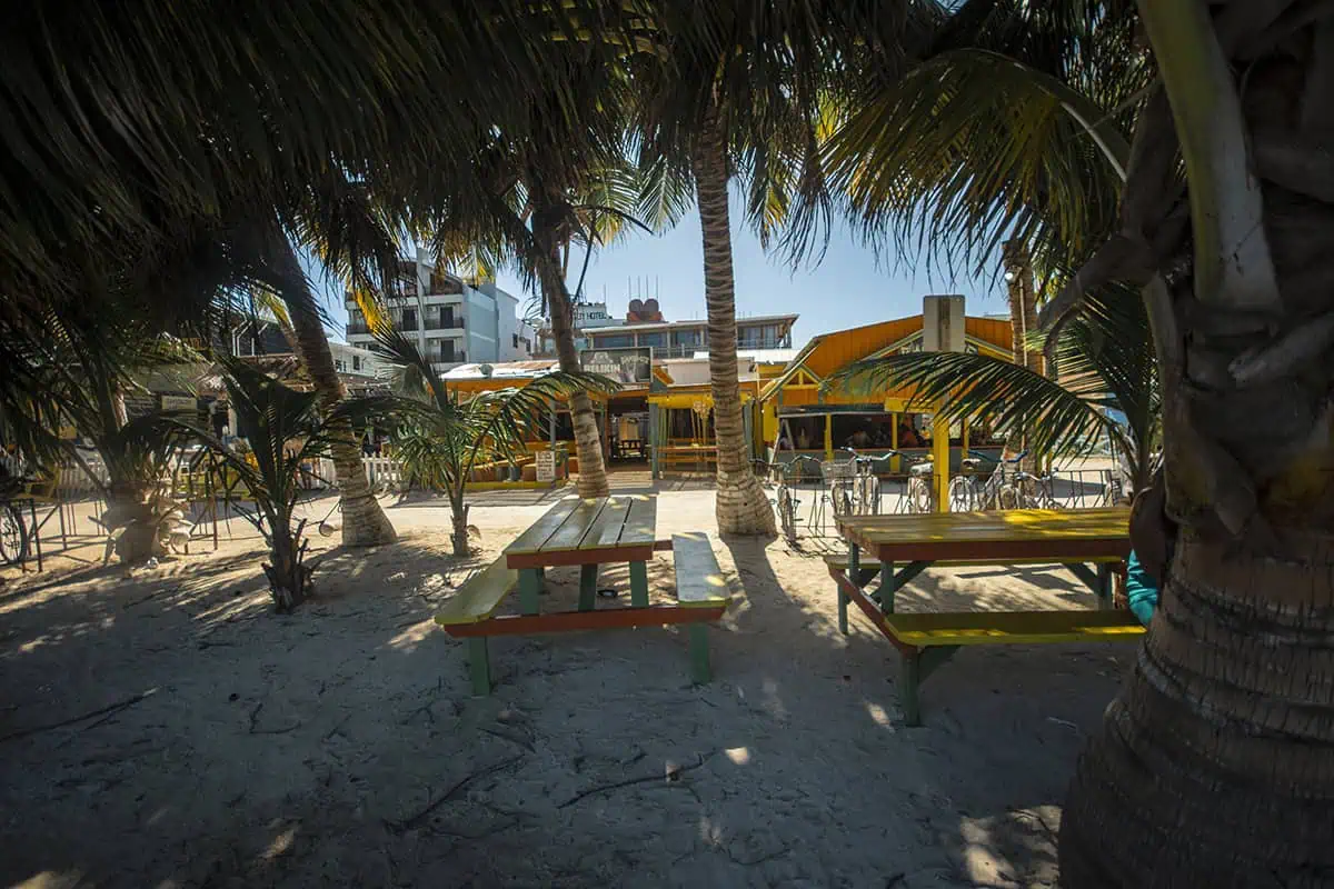 Cancun To Caye Caulker: The 4 Easiest Ways To Travel 4 Outdoor seating area under palm trees by the water in Caye Caulker, Belize, with a chalkboard menu and patrons enjoying a peaceful sunset. The perfect place to relax after a day of traveling from Cancun to Caye Caulker travelers.