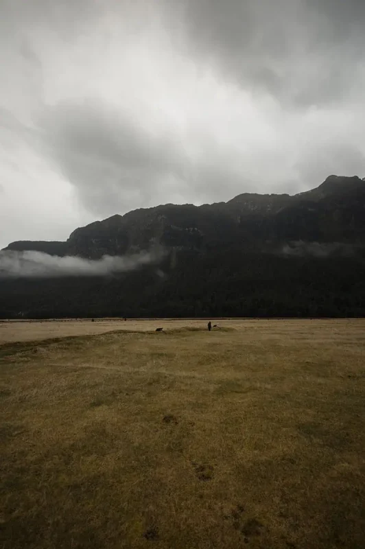 Eglinton Valley: ULTIMATE Guide For Visiting (2026) 18 A wide expanse of dry, golden grass with a solitary figure in the distance, surrounded by dark, forested mountains shrouded in low-hanging clouds. The sky above is overcast, adding to the moody ambiance of Eglinton Valley.