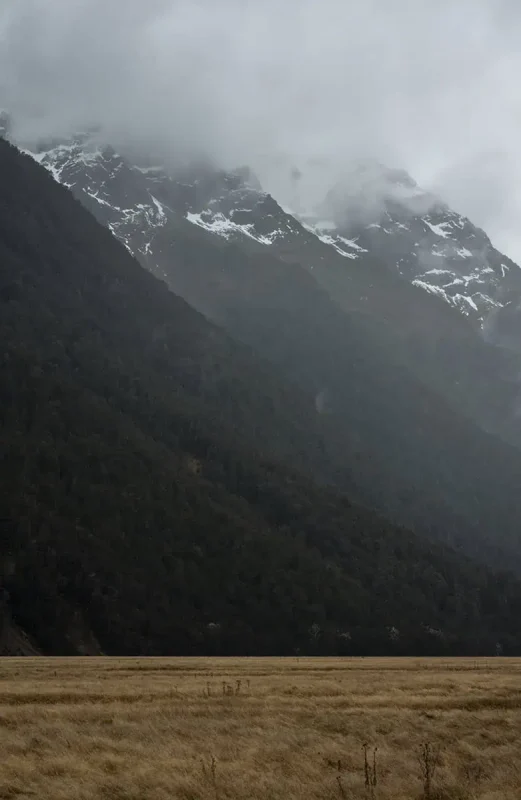 Eglinton Valley: ULTIMATE Guide For Visiting (2026) 19 Snow-dusted mountain peaks emerge from a blanket of clouds, towering above dense forest and open grassland. The misty air enhances the ethereal beauty of Eglinton Valley.