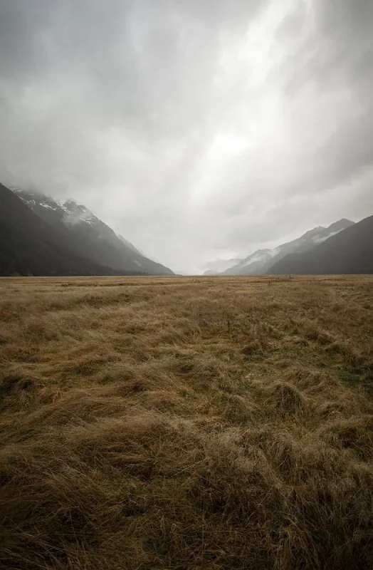 Eglinton Valley: ULTIMATE Guide For Visiting (2026) 27 A vast, empty field of tall, dry grass stretching towards a distant horizon where mountains meet the cloudy sky. The scene captures the expansive solitude of Eglinton Valley.