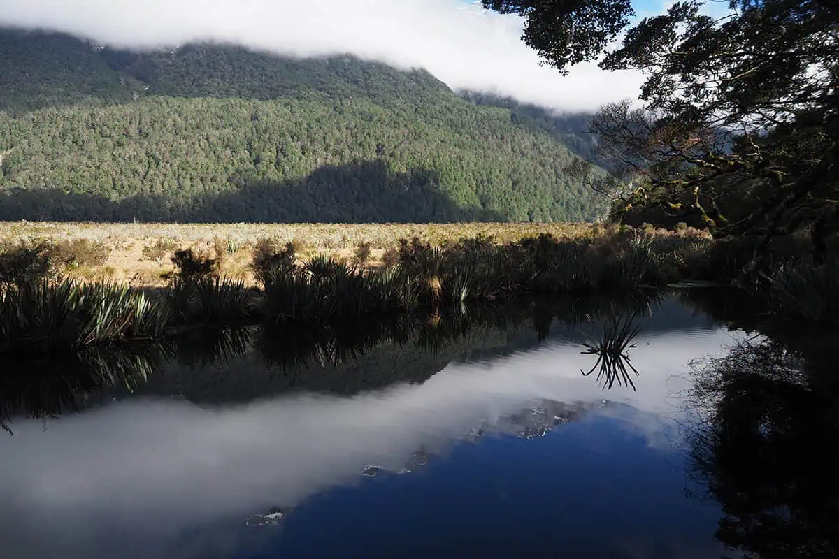 Mirror Lakes: Is It Worth Visiting In Milford Sound, NZ? 18 Another picturesque scene of Mirror Lakes in Milford Sound, showcasing the pristine water reflecting the dense forest and misty mountains. The image captures the delicate balance of nature with vibrant greenery, serene water, and the imposing presence of the mountains under a sky dotted with clouds, creating a harmonious and peaceful atmosphere.