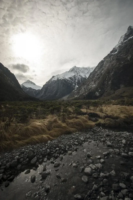 Monkey Creek: BEST Stop On The Way To Milford Sound 35 A small stream flows over a rocky bed in the foreground at Monkey Creek, New Zealand, leading the eye towards a backdrop of towering, snow-covered mountains. The landscape is a mix of golden grasses and green shrubs, contrasting with the dark, imposing peaks under a cloudy sky. The scene is serene and captivating, highlighting the natural beauty of the area.
