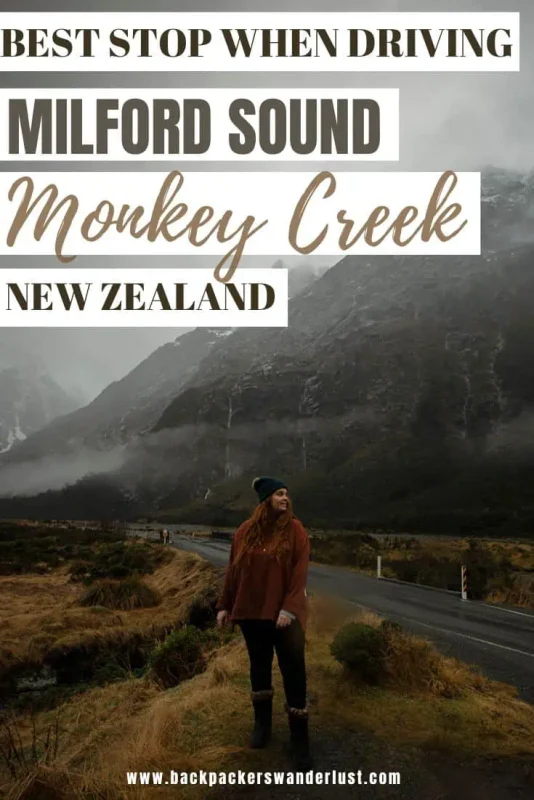 Monkey Creek: BEST Stop On The Way To Milford Sound 36 If you are driving to Milford Sound one of the best stops to make a long the way is the hidden secret called Monkey Creek. Come see why it's worth visiting, why it's even called that, what to do there, and more!