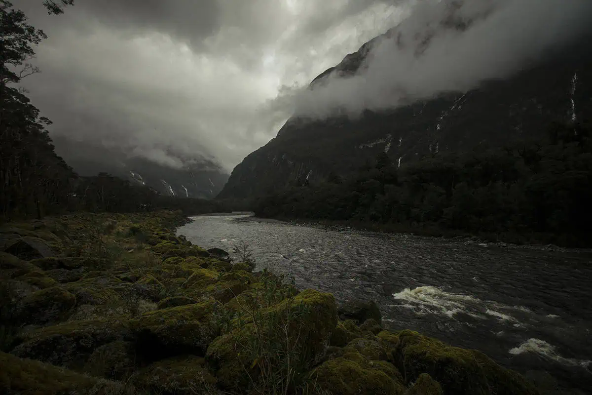Milford Sound In The Rain: The BEST Time To Visit 2026 23 Moss-covered rocks line the edge of a fast-flowing river in Milford Sound, with misty mountains rising in the background. The cloudy sky and mist create a dramatic scene, highlighting the rugged beauty of the area.