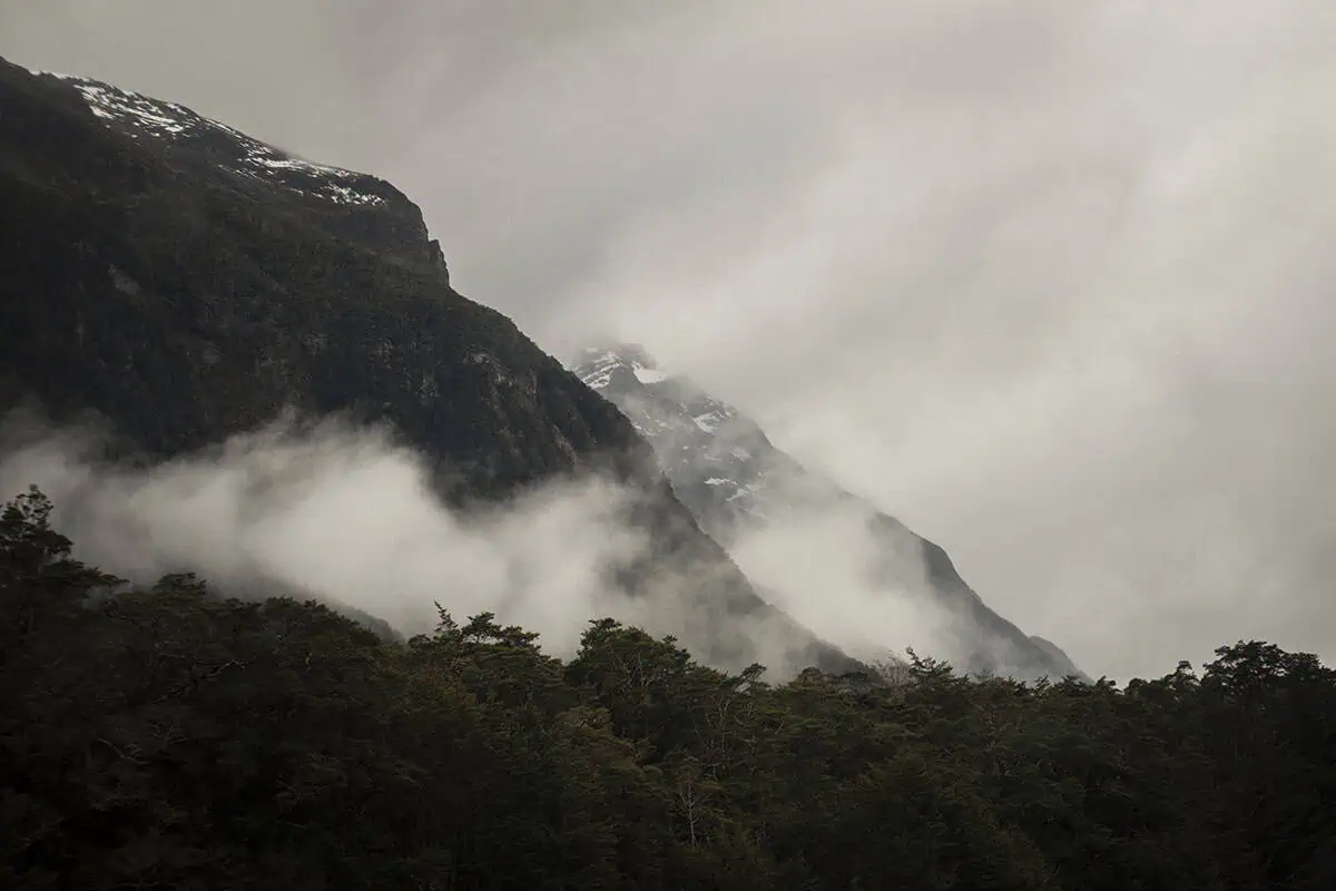 Fiordland & Milford Sound Lord Of The Rings Locations (2026) 16 Mist drifts over dark green forests and steep cliffs in Milford Sound, New Zealand, one of the filming locations for the Lord of the Rings.