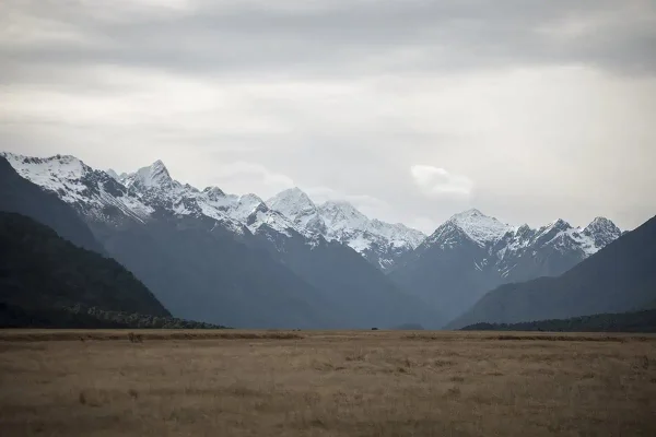 Snowy peaks rise in the distance behind grassy field on an overcast day in Eglinton Valley. The perfect spot for camping in Milford Sound.