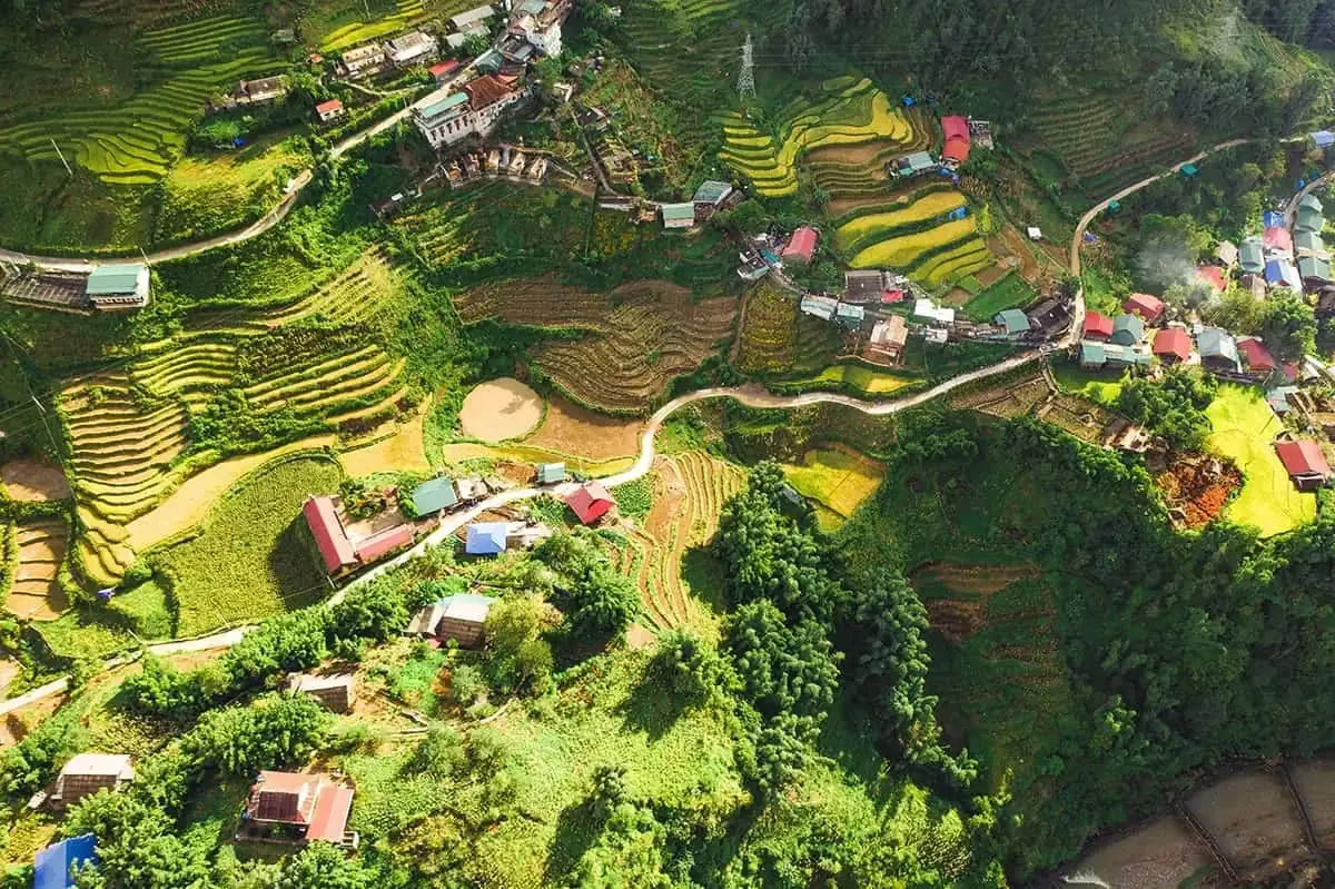 3 Weeks In Vietnam Itinerary: The Perfect First-Time Route 52 Aerial view of terraced rice fields in Sapa